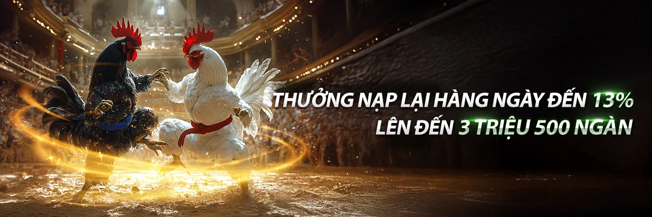 Hình ảnh đá gà trực tuyến sôi động tại HK79 nổ hũ
