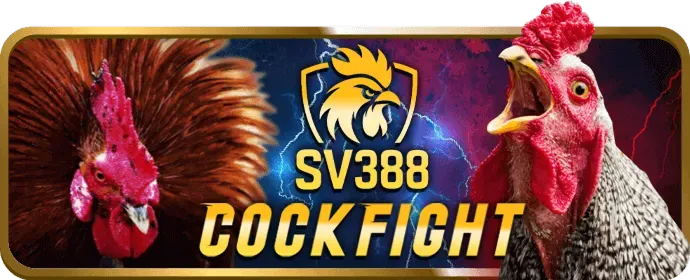 Chính sách chơi game có trách nhiệm của HK79 Nổ Hũ